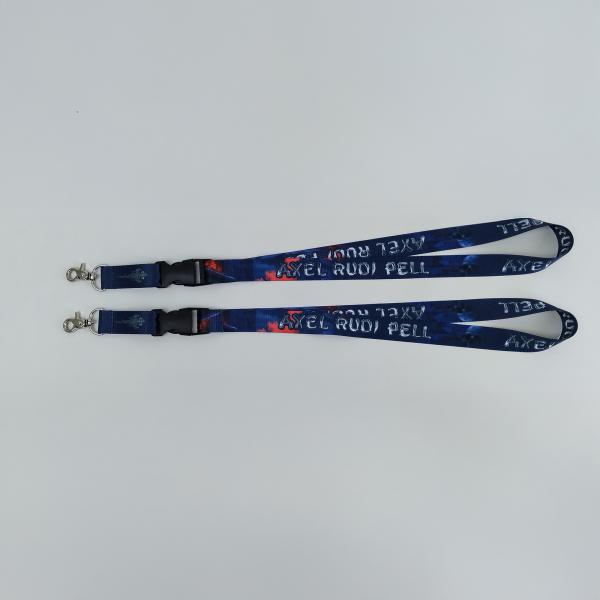 Axel Rudi Pell - Axel Rudi Pell - Kette matt